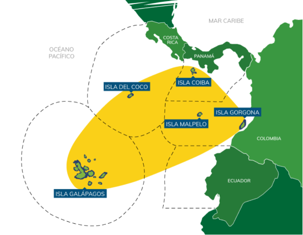 IORIS IN SUPPORT OF MARITIME CONSERVATION IN LATIN AMERICA