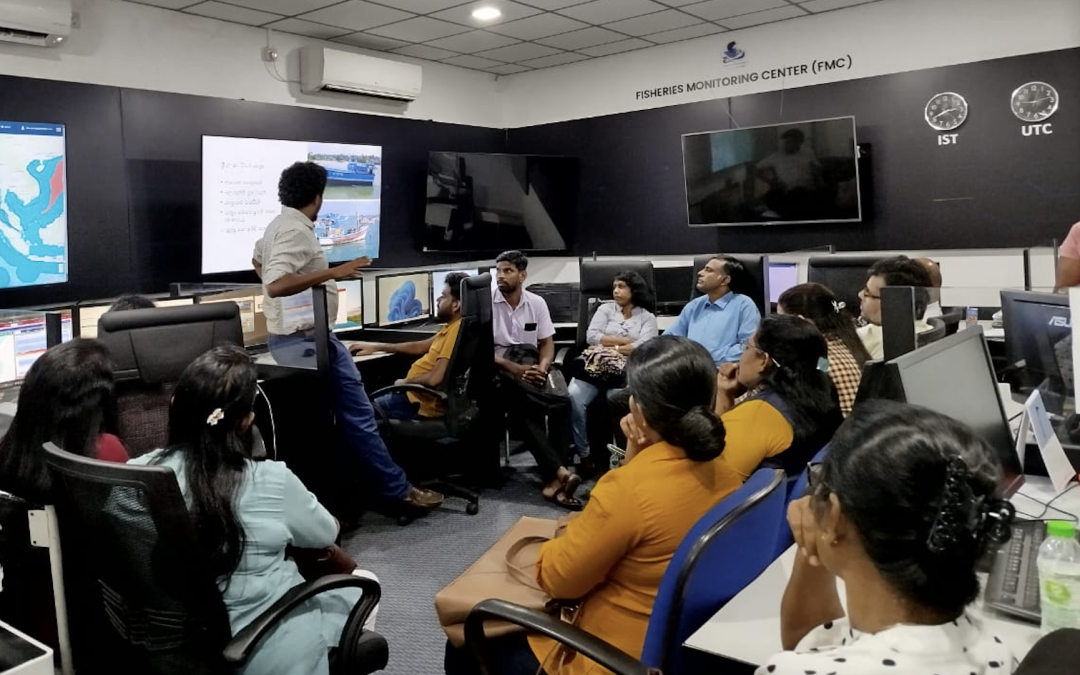 IORIS in pictures: capturing coordination in action